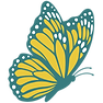 papillon univers des possibles