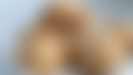 HEALTHY SNICKERDOODLES 