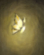 Monster Armor Detail