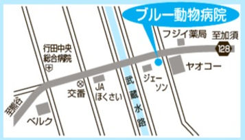 ブルー動物病院マップ
