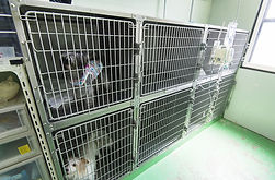 入院室