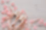 AdobeStock_125120037.jpeg