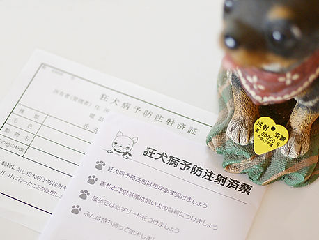 狂犬病ワクチン