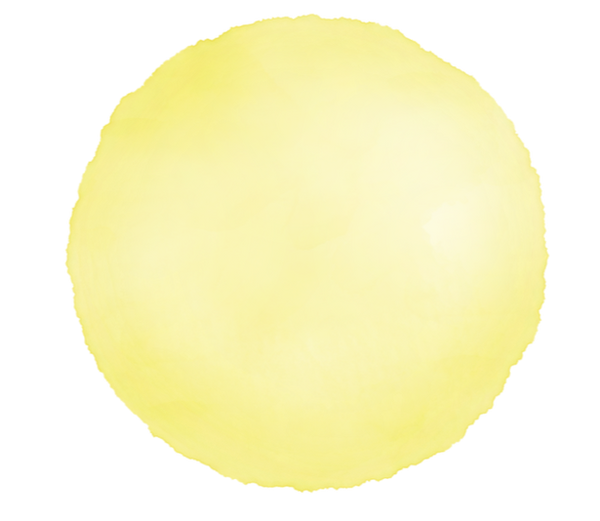 丸