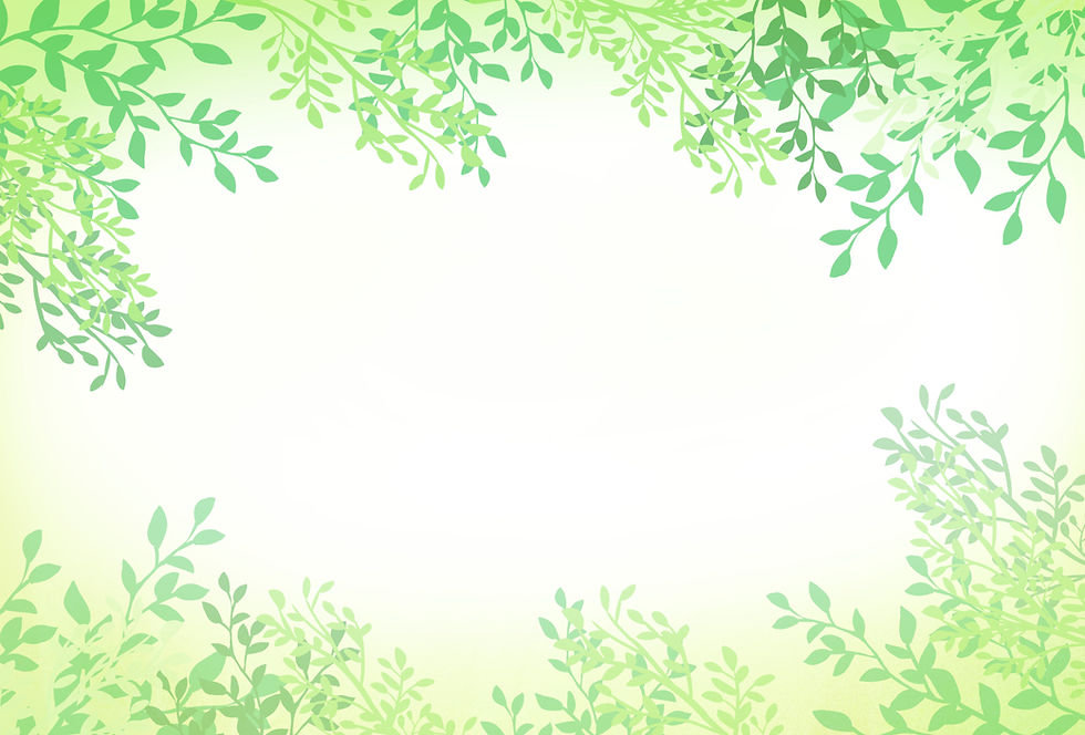 新緑背景