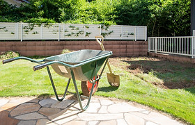 AdobeStock_487964476_edited.jpg