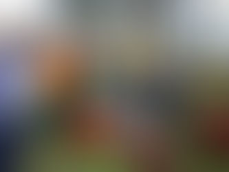 El Ayuntamiento de Hidalgo y la SADER imparte Curso de Capacitación para la Elaboración de Bloques Nutricionales para Ganado