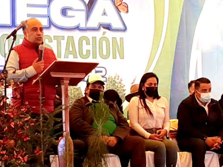 PLANTA UN ÁRBOL Y SIEMBRAS ESPERANZA: FERNANDO PALOMINO.