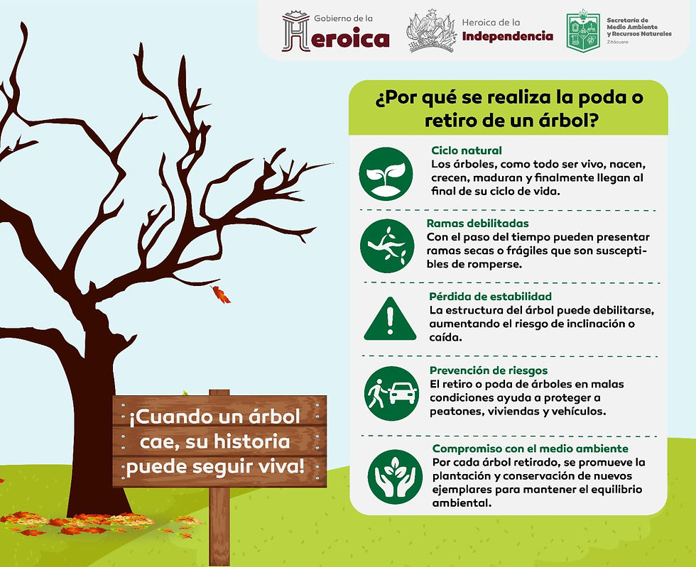 Cuidar nuestro entorno también implica actuar con responsabilidad 
