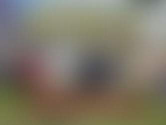 100 MIL ÁRBOLES PARA REFORESTAR HIDALGO