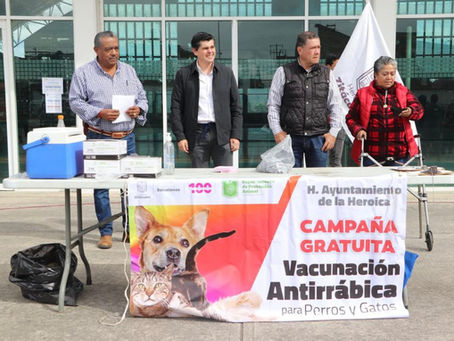 Arranca Campaña Gratuita de Vacunación Antirrábica en Zitácuaro