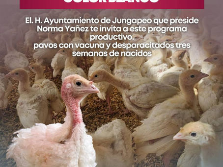 ATENCIÓN JUNGAPEO