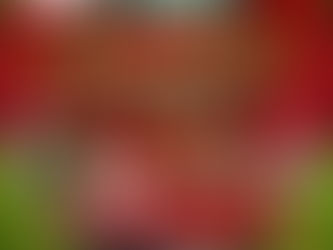 ¡La magia de la Navidad llega a Ciudad Hidalgo!