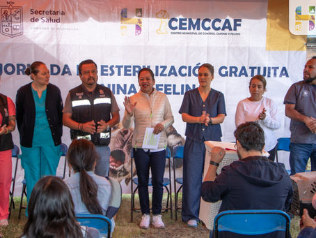 Jornada Anual de Esterilización Canina y Felina Gratuita en Ciudad Hidalgo