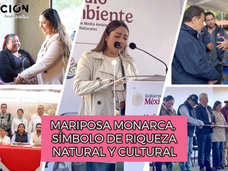 MARIPOSA MONARCA, SÍMBOLO DE RIQUEZA NATURAL Y CULTURAL: LETY ARRIAGA.
