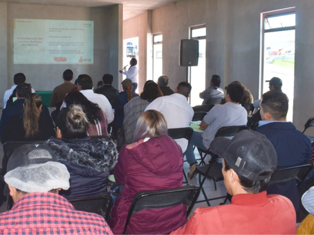 PRODUCTORES DE FRESA RECIBEN CAPACITACIÓN PARA EL CONTROL BIOLÓGICO CONTRA PLAGAS Y ENFERMEDADES.