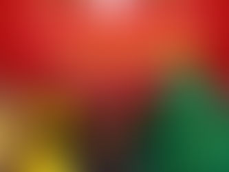 Encendido del Árbol Navideño