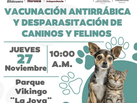 vacunación antirrábica y desparasitación de caninos y felinos.
