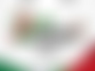 SEGUNDO INFORME DE GOBIERNO.