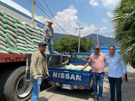ENTREGA DE FERTILIZANTE SULFAMIN 45 PARA FORTALECER AL CAMPO DE JUNGAPEO