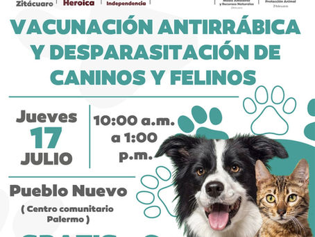 Jornada gratuita de vacunación antirrábica y desparasitación de caninos y felinos.