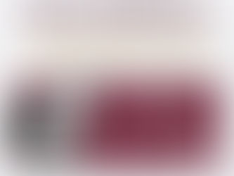 Inauguración de la Feria del Bienestar