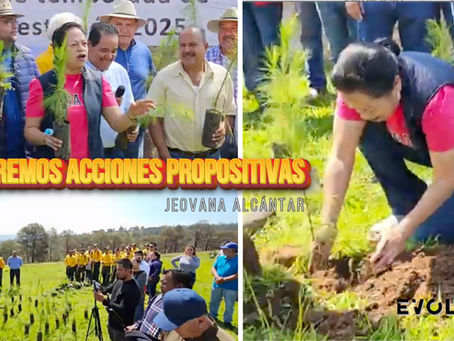 INICIO DE TEMPORADA DE REFORESTACIÓN 2025 EN HIDALGO.