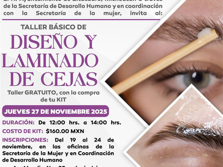 Taller Básico de Diseño y Laminado de Cejas