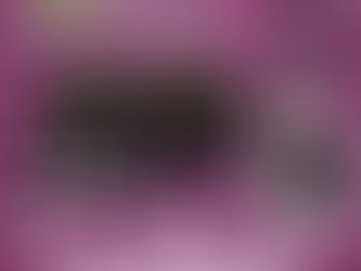 La Adictiva en Monarca Fest