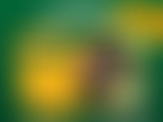 Programa de Fertilizante al 50% en Ocampo