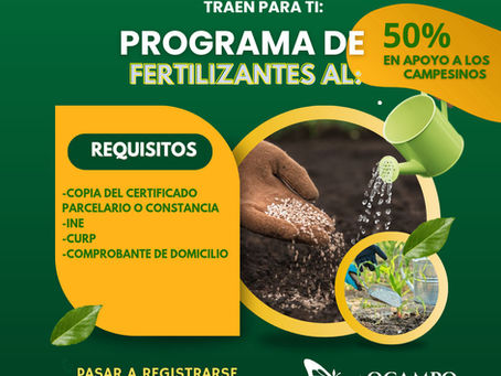 Programa de Fertilizante al 50% en Ocampo