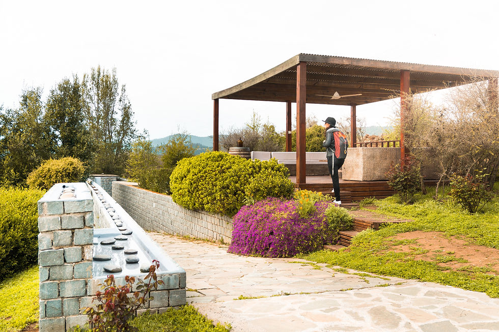 Kingston Family Vineyards