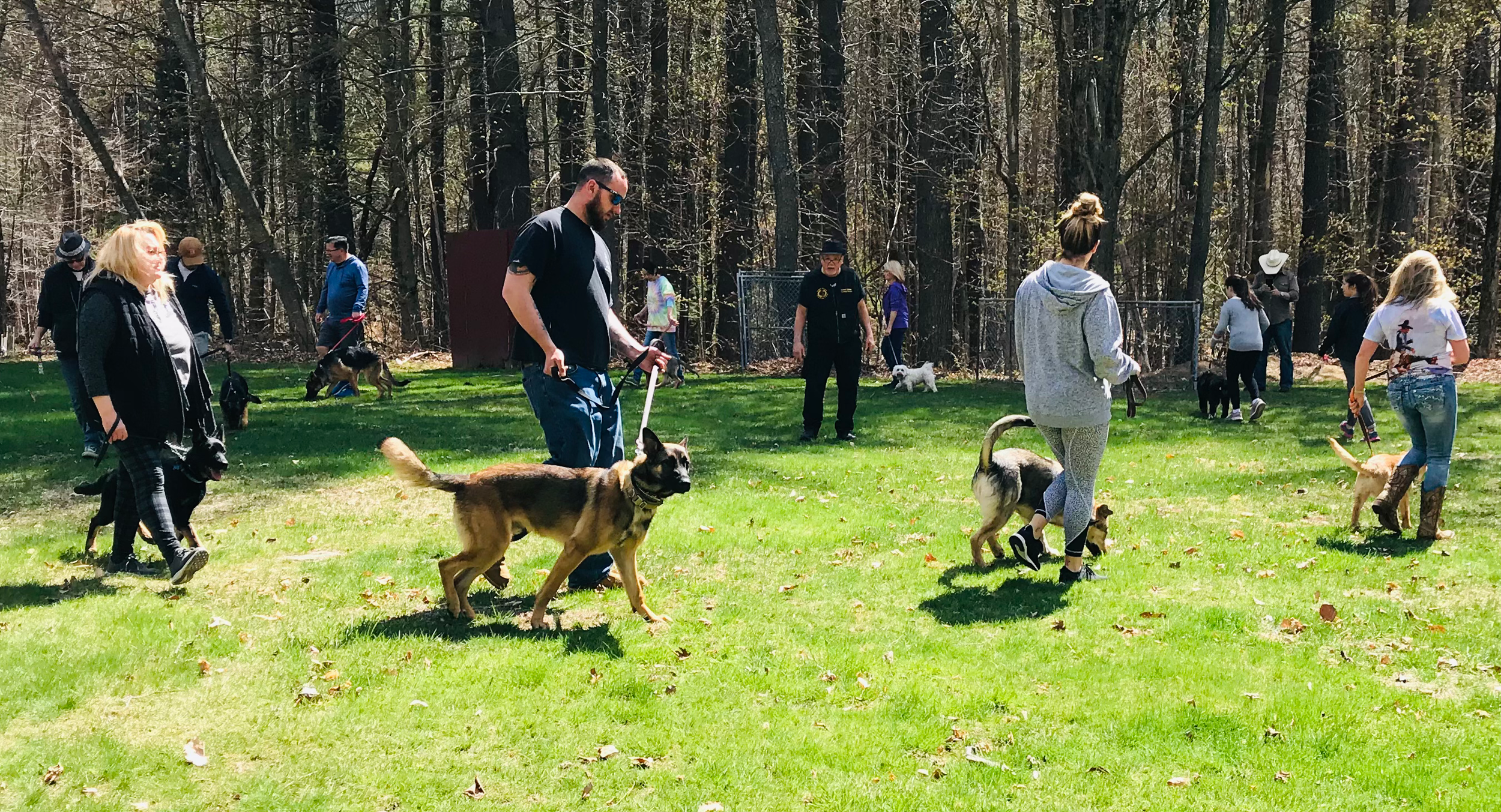 Olympia Kennels - Image 1
