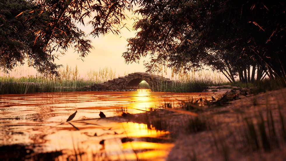 sun set bomboo grove.png