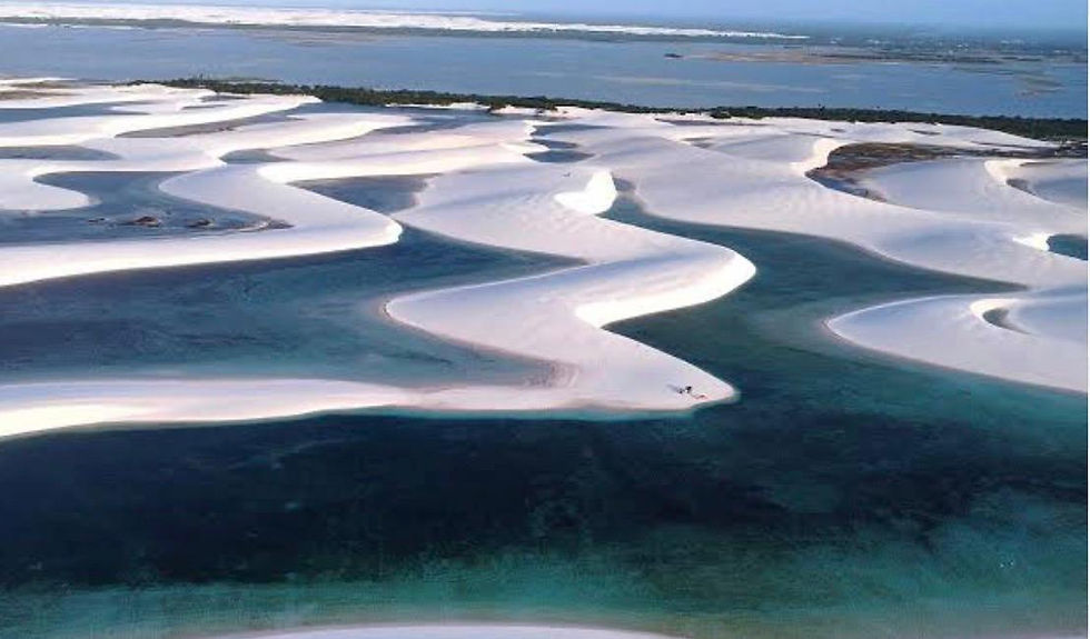 WhatsApp Image 2026-02-03 at 18.14.25-3.jpeg