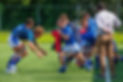 51413200421_507cdcf2e6_o.jpg