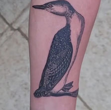 Fine line black tattoo of Audubon's Loon.