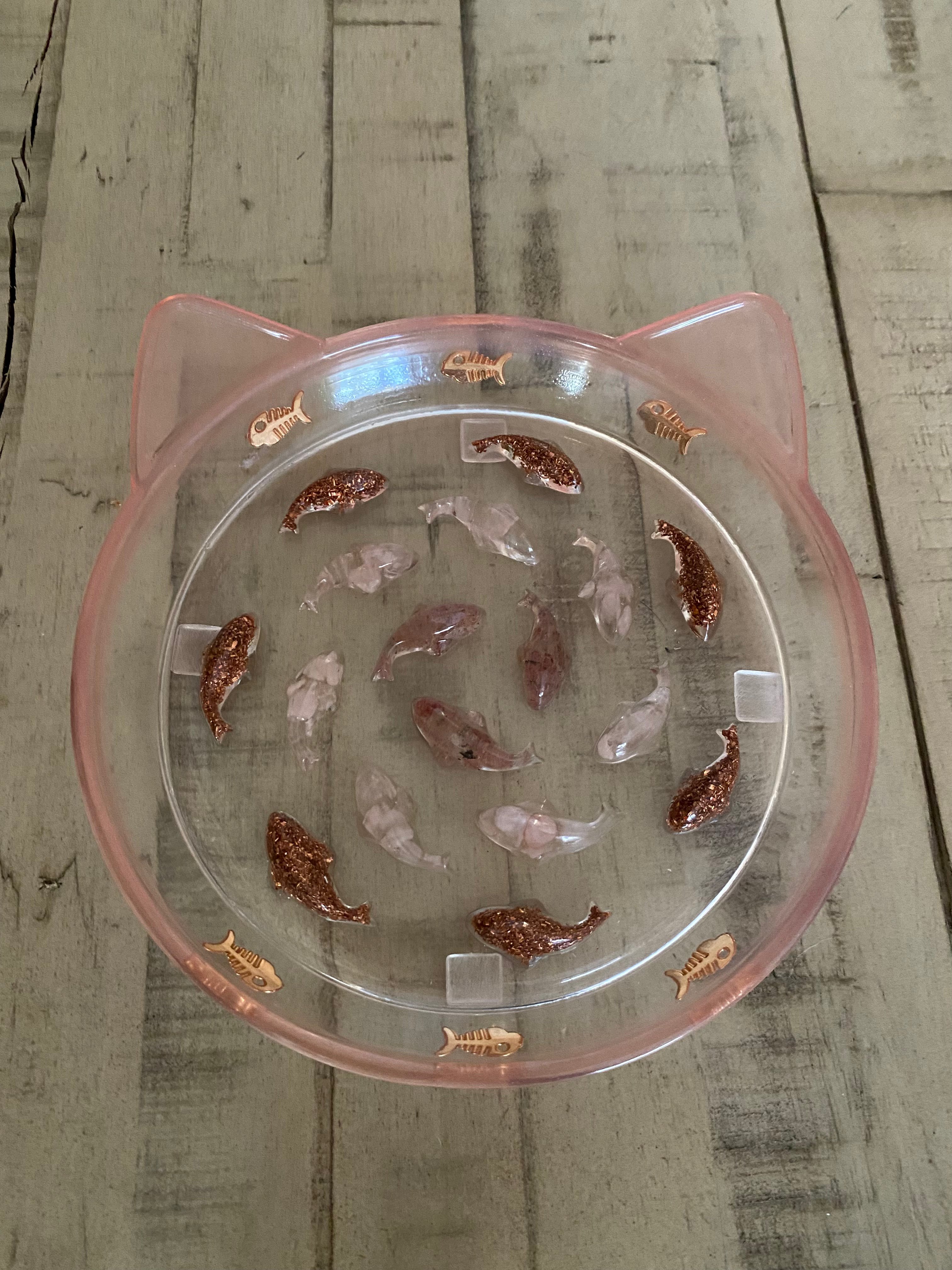 Cat Bowl