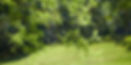 About_Us_Header.jpg