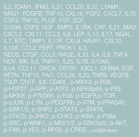targets_white_image.png