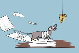 Escaping the Rat Race: How to Break Free from Comfort Zone and Pursue Your Dreams