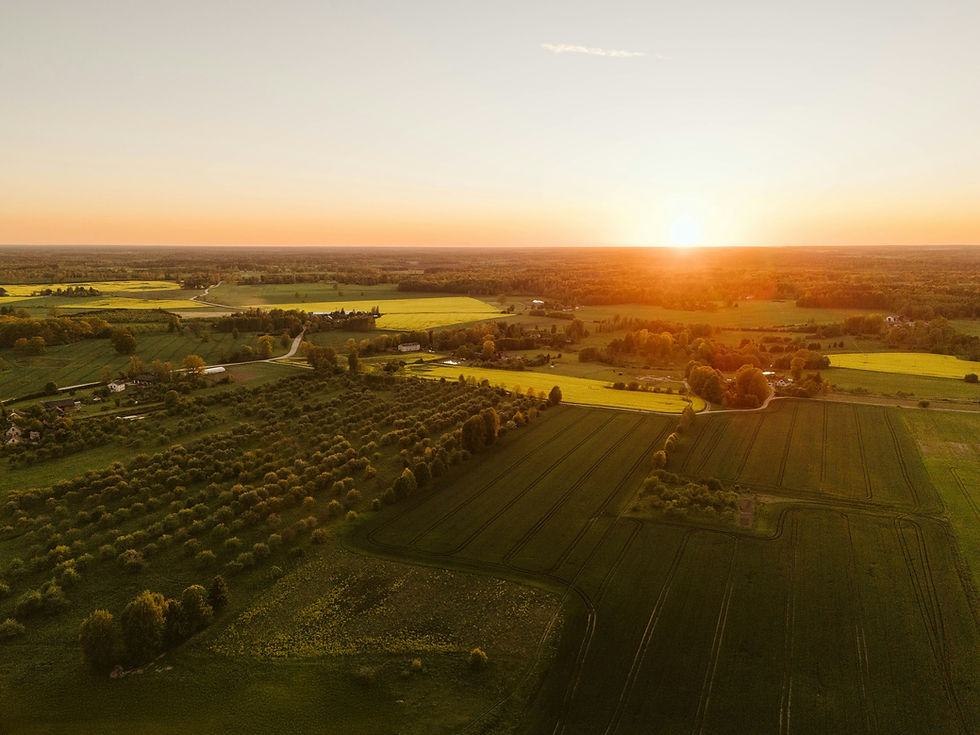 Rolling green hills bathed in soft golden evening light, the kind of quiet open countryside where a shepherd might pray aloud to God while watching his flock.