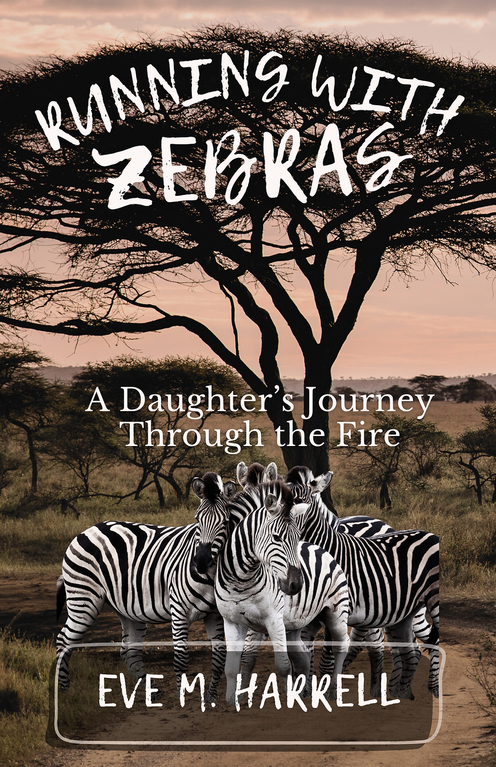 Running with Zebras