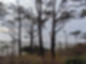 PXL_20211126_214455724.jpg