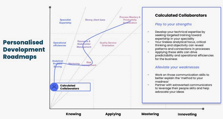 SeenCulture Personalised development roadmaps