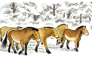 chevaux-a-la-prehistoire.jpg