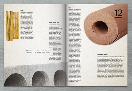 NinaRamondo_ArchLifeNewsPaper_TypeDesign