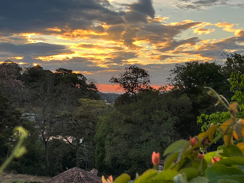 Sunsets