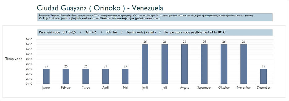 Venezuela, Orinoko, Akvarijske ribe, Živorodke