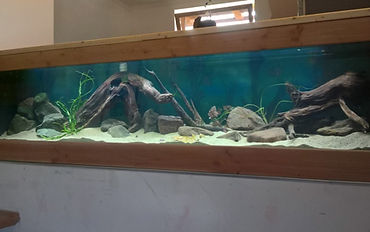 WP_20180702_15_13_07_Rich_edited.jpg